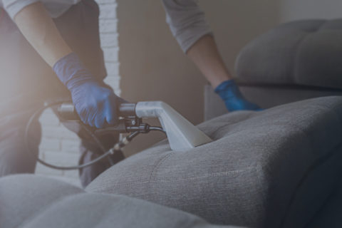 Upholstery Cleaning