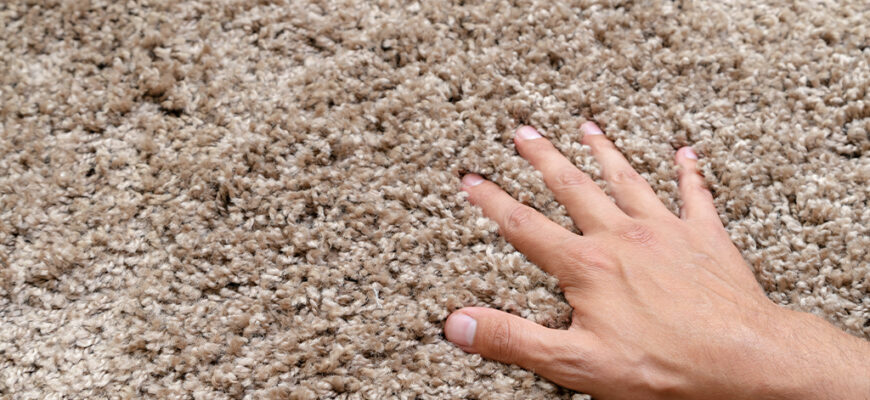 How Do I Make My Carpet Soft Again