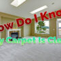 How Do I Know If My Carpet Is Clean?